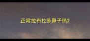 正常拉布拉多鼻子热