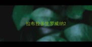 拉布拉多生罗威纳