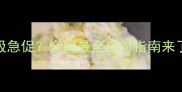 猫咪疫苗后呼吸急促全网最全应对指南来了附真实案例