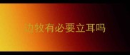 边牧有必要立耳吗