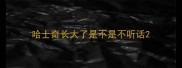 哈士奇长大了是不是不听话