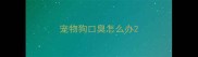 宠物狗口臭怎么办