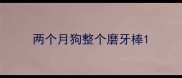两个月狗整个磨牙棒