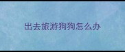 出去旅游狗狗怎么办