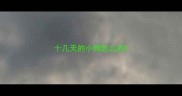 十几天的小狗怎么养