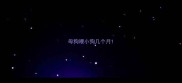 母狗喂小狗几个月