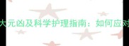 边牧频繁掉毛的5大元凶及科学护理指南如何应对牧羊犬换毛难题
