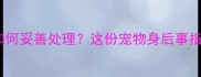 猫咪去世后如何妥善处理这份宠物身后事指南请收好