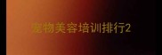 宠物美容培训排行