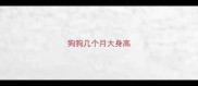狗狗几个月大身高