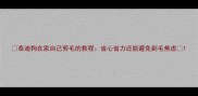 泰迪狗在家自己剪毛的教程省心省力还能避免剃毛焦虑