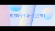 狗狗出生驱虫疫苗