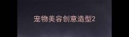 宠物美容创意造型