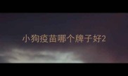 小狗疫苗哪个牌子好