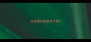 北京猫打疫苗多少钱