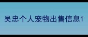 吴忠个人宠物出售信息