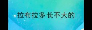 拉布拉多长不大的