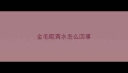 金毛呕黄水怎么回事