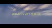猫咪不小心舔了驱虫药