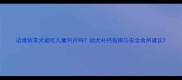 边境牧羊犬能吃儿童钙片吗幼犬补钙指南与安全食用建议