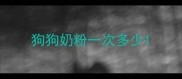 狗狗奶粉一次多少