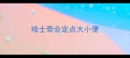 哈士奇会定点大小便