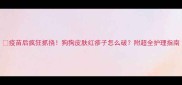 疫苗后疯狂抓挠狗狗皮肤红疹子怎么破附超全护理指南