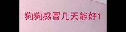 狗狗感冒几天能好