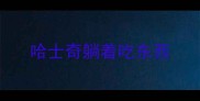 哈士奇躺着吃东西
