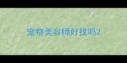宠物美容师好找吗
