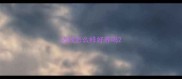 边牧怎么样好养吗