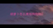 胡萝卜怎么煮给狗狗吃