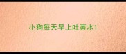小狗每天早上吐黄水