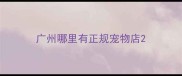 广州哪里有正规宠物店