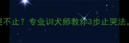 7个月哈士奇夜哭不止专业训犬师教你3步止哭法告别深夜扰民