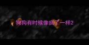 狗狗有时候像疯了一样