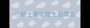 小哈士奇能吃生白菜么