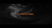 2岁喂养金毛健康