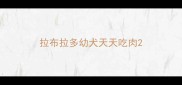 拉布拉多幼犬天天吃肉