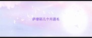 萨摩耶几个月退毛