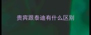 贵宾跟泰迪有什么区别