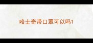哈士奇带口罩可以吗