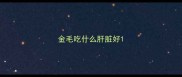 金毛吃什么肝脏好