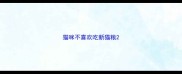 猫咪不喜欢吃新猫粮