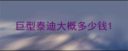 巨型泰迪大概多少钱
