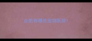 合肥有哪些宠物医院