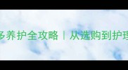 奶白色拉布拉多养护全攻略从选购到护理的保姆级指南