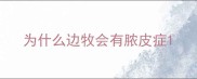 为什么边牧会有脓皮症