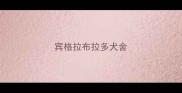 宾格拉布拉多犬舍