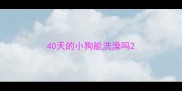 40天的小狗能洗澡吗